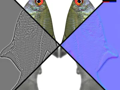 Realistic River Fish 3D model