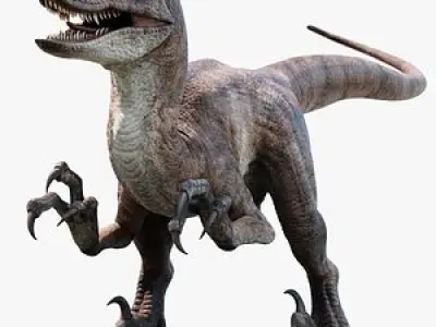 Velociraptor