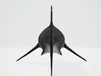Megalodon great shark 3D model