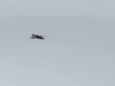 Darkwave Class Recon SR 1300-1  3D model