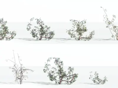 EVERYPlant Baiera 4 --14 Models-- 3D model