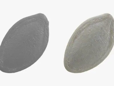 Pumpkin Seed 02 3D model