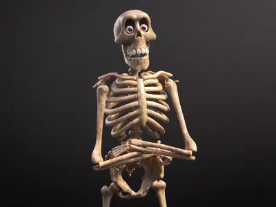 Cartoon Skeleton Rigged1 3D model