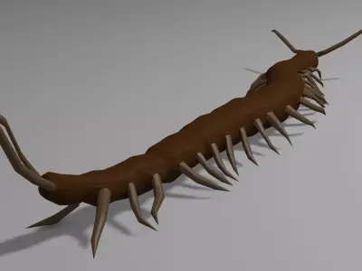 Centipede Obj plus Blender 3D model