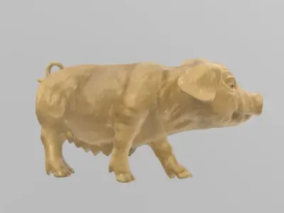 Cochon pig 3D print model