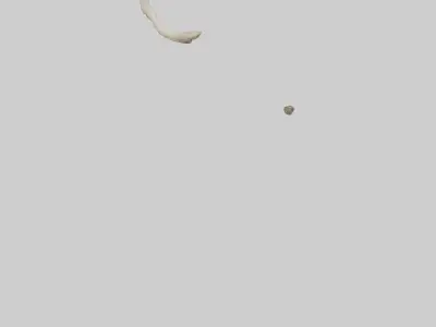 Elephant Humerus 3D model