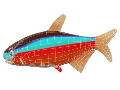 Cardinal Tetra fish animated Low-poly 3D model