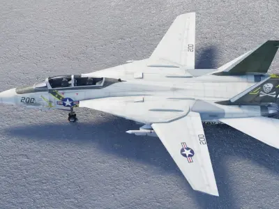 Grumman F-14 Tomcat Low-poly 3D model