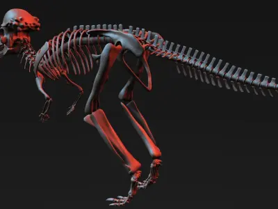Pachycephalosaurus Skeleton 3D model