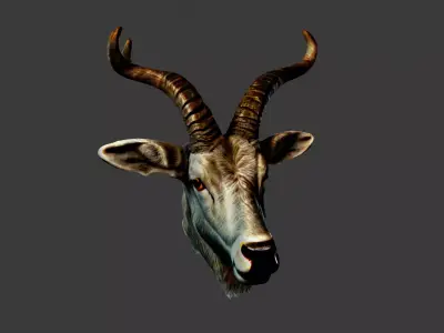 Deer Animal Head Low-poly 3D model