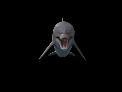 BottleNose Dolphin Tursiops Truncatus Low-poly 3D model