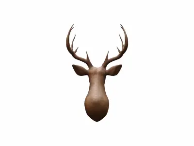  3d Render Close Up Of Red Deer Head 3D model