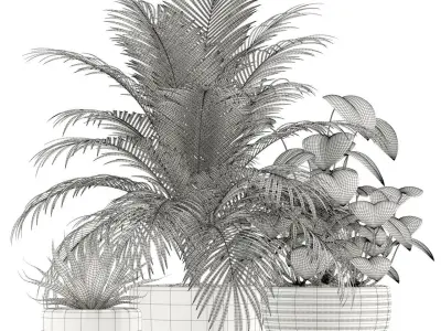 Plants collection 119 3D model