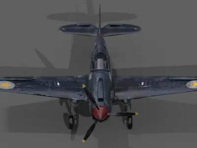 P40 WARHAWK 3D model
