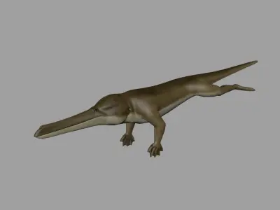 Remingtonocetus 3D model