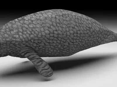 Sea Cow 3D model