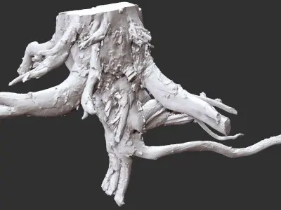3d scan tree root in highpoly 3D model