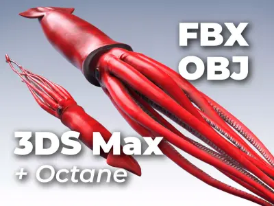 Giant Squid - 3DS Max Octane - FBX - Zbrush Low-poly 3D model