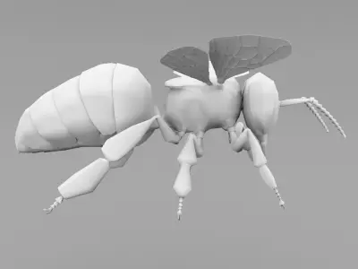 Realistic Bee 3D model