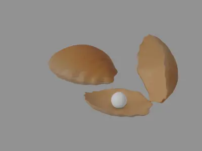 Oyster Clam 3D model