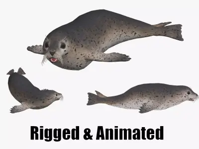animated seal sea lion Low-poly 3D model