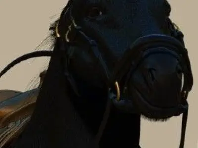 Realistic 3d Horse model with saddle Free 3D model