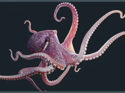 Octopus Mega Pack Low-poly 3D model