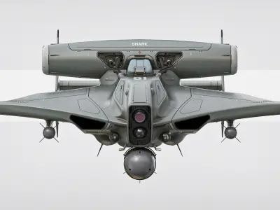 Drone Bomber 3D model