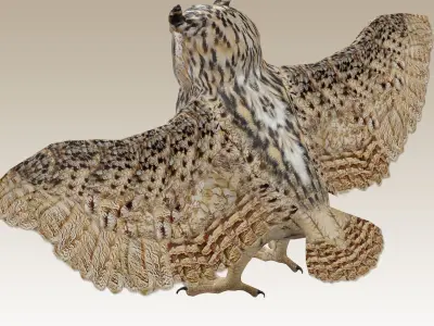 Great Horned Owl  Low-poly 3D model