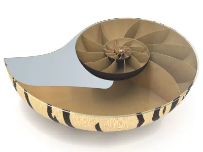 Marc Fish Nautilus II Low Coffee Table 3D model