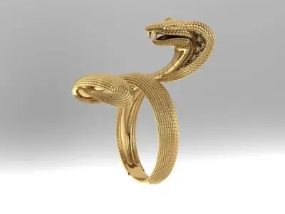 An 2461 Naja cravejada 3D print model