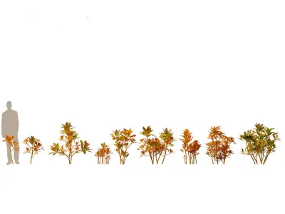 Jungle Foliage Pack 16 3D model