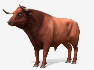 Bull 3D model