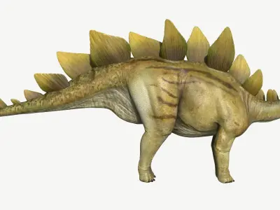 Stegosaurus dinosaur Low-poly 3D model