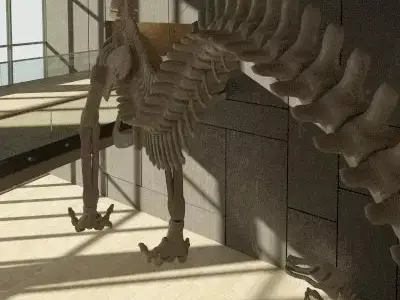 dinosaur room with skeleton in it Free 3D model