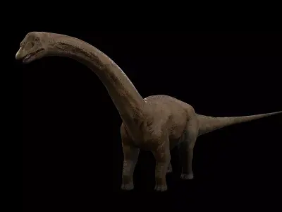Sauropoda - Long Neck Dinosaur Low-poly 3D model