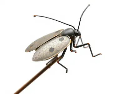 Insect Model Pack with PBR Textures Low-poly 3D model