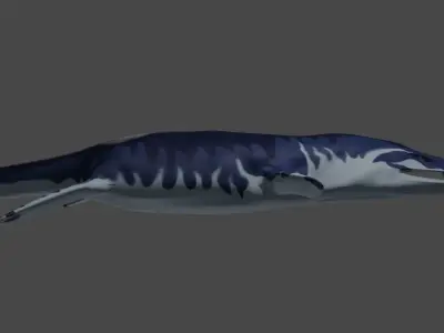 Pliosaur Low-poly 3D model