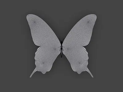 BFLY-007 Butterfly 3D model