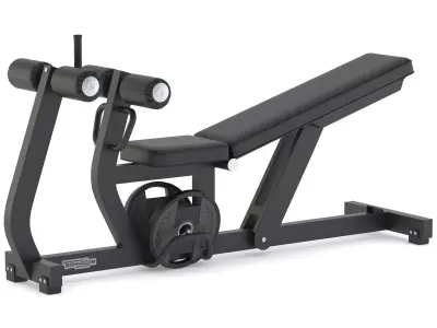 Technogym Bench Adjustable Decline AB Crunch Pure 3D model