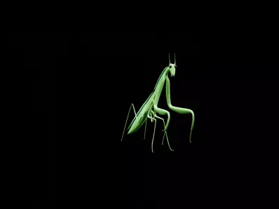 Mantis 3D MODEL Low-poly 3D model