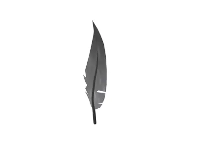 Feathers v1 001 Low-poly 3D model