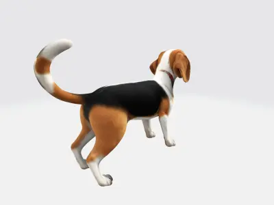 3d Model Asian Young Cute Beagle Dog High Resolution 3D model