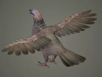 sparrow falcon eagle jay stork pelican swan 3D model