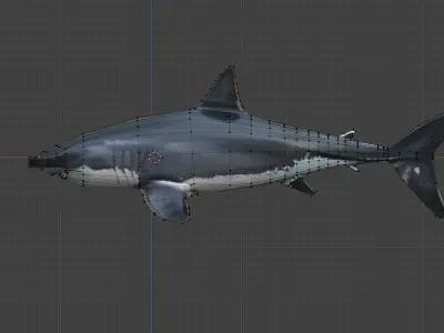 SHARK great Low-poly 3D model