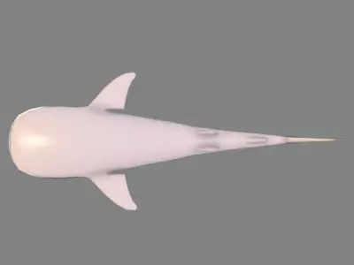Whale Shark Low-poly 3D model