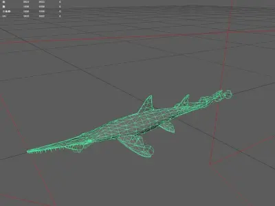 Shark Low-poly 3D model