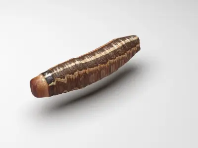 Cutworm 3D model