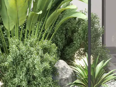 Indoor Plants Vol 321 3D Model Scene 3D model