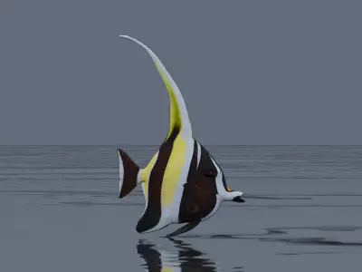 Banded Butterflyfish Low-poly 3D model